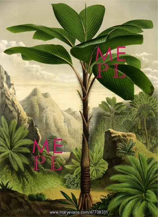  : Tropical Tree