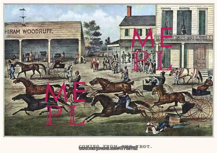  : In from the Trot