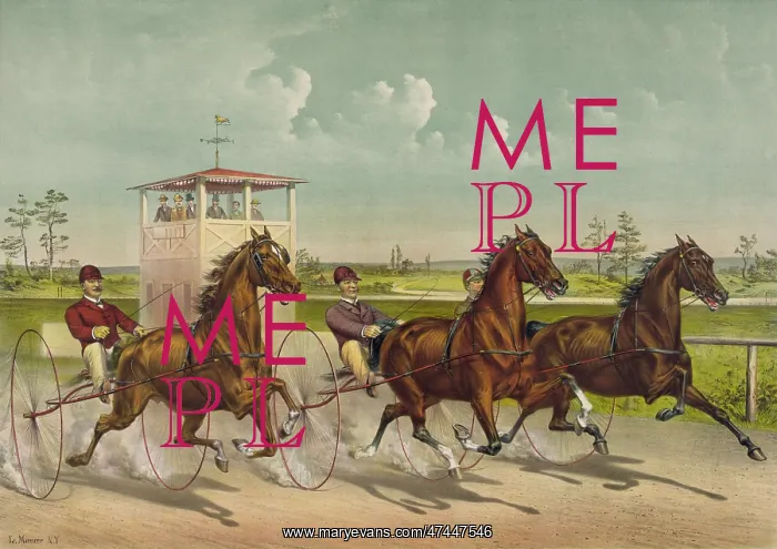  : Trotting for a great stake