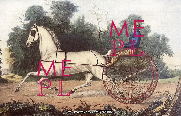  : Trotting Horse and Driver