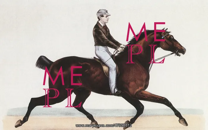  : Trotting Horse and Rider