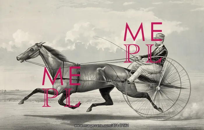: The trotting mare Goldsmith Maid driven by Budd Doble : The trotting mare Goldsmith Maid driven by Budd Doble