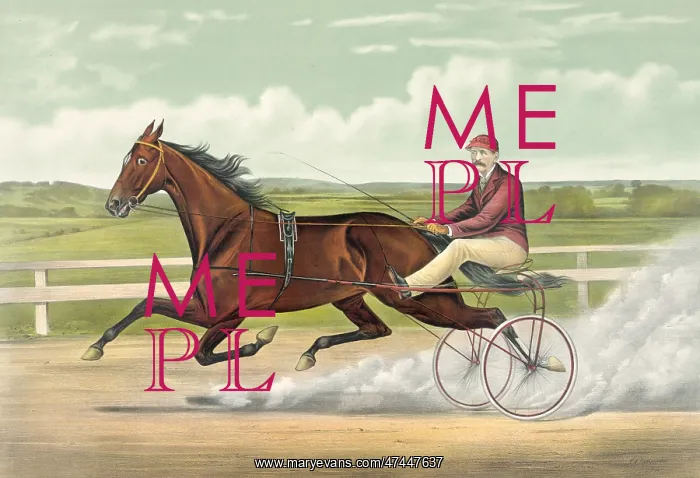 : Trotting Queen Alix: record 2:03 3 / 4 : Trotting Queen Alix: record 2:03 3 / 4
