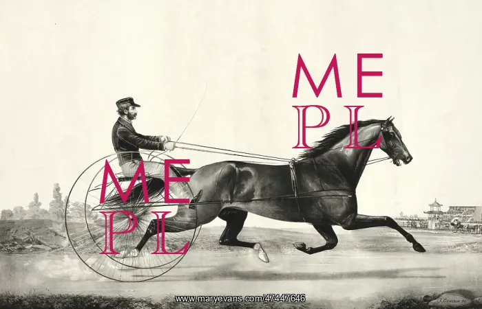 : Trotting stallion Tom Moore driven by Danl. Mace: sired by H : Trotting stallion Tom Moore driven by Danl. Mace: sired by H