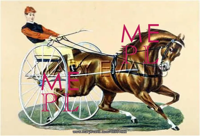  : TROTTING WITH SULKY