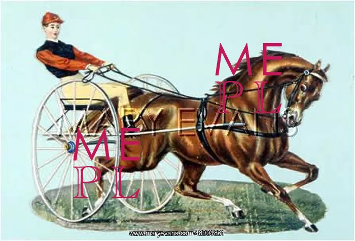  : TROTTING WITH SULKY
