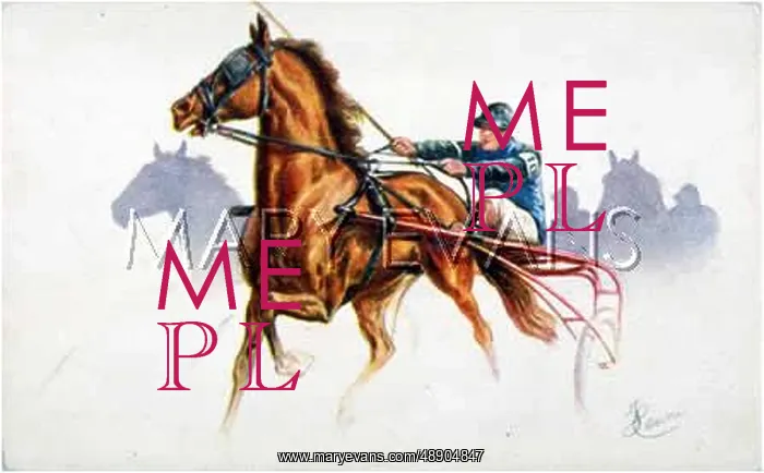  : TROTTING WITH SULKY