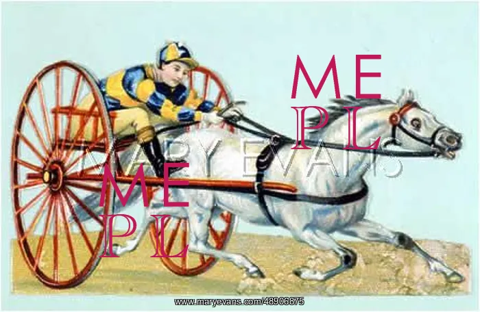  : TROTTING WITH SULKY