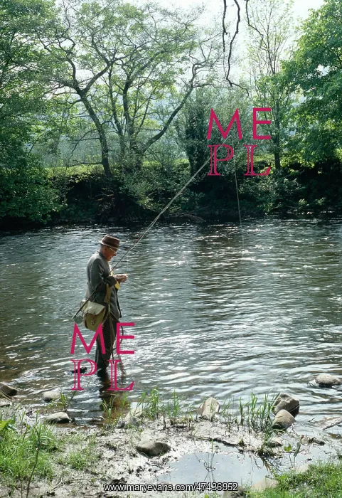  : Trout Fishing