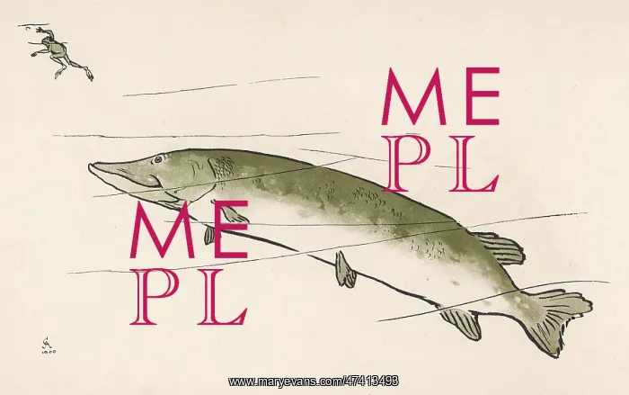 : Trout and frog : Trout and frog