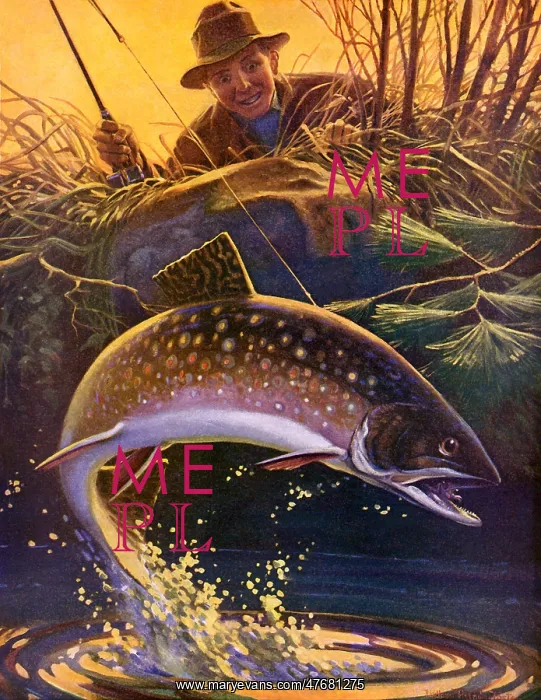  : Trout on Line
