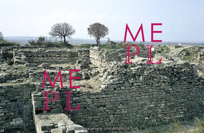 : Troy Excavations : Troy Excavations