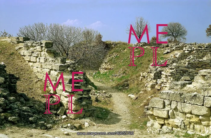 : Troy Excavations : Troy Excavations