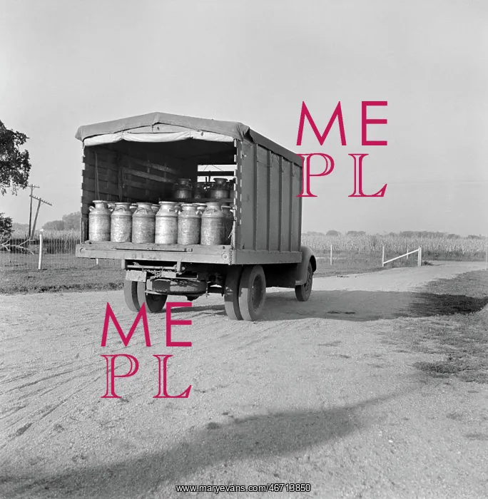 : Truck - Dairy - Industry - Delivery : Truck - Dairy - Industry - Delivery