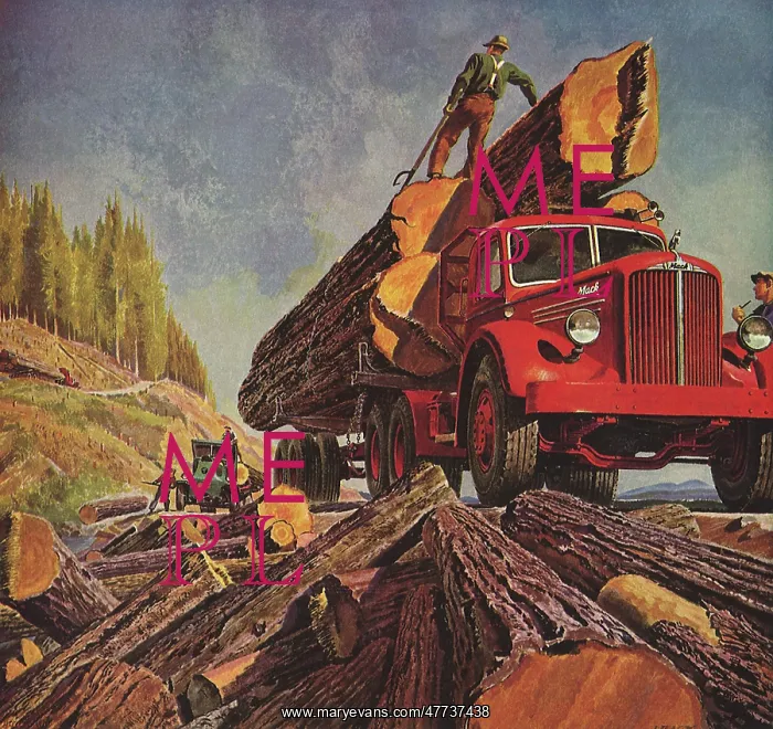  : Truck hauling Lumber