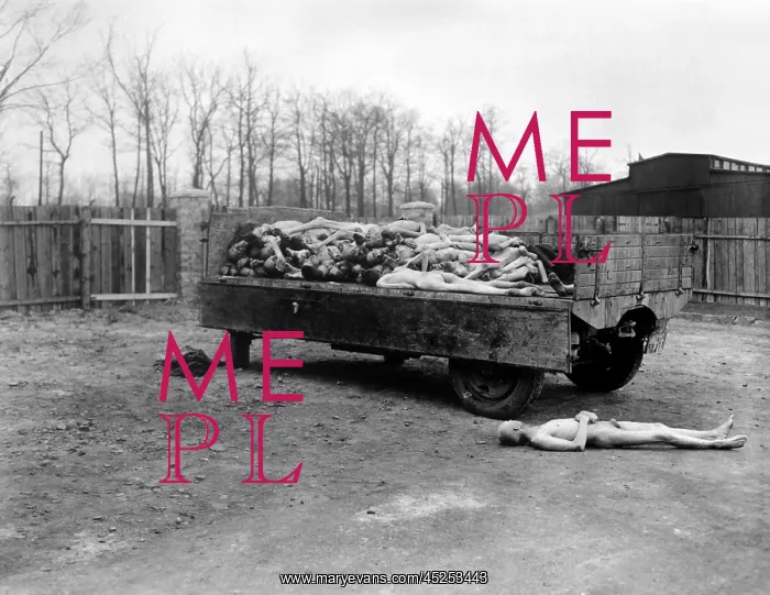 : A truck load of bodies of dead prisoners of the : A truck load of bodies of dead prisoners of the