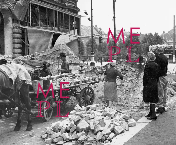 : Truemmerfrauen : Truemmerfrauen