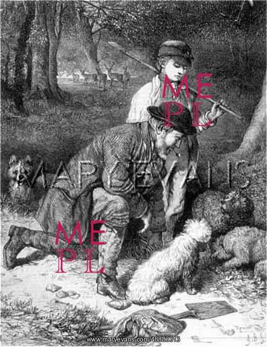 : TRUFFLE HUNTER 1869 : TRUFFLE HUNTER 1869