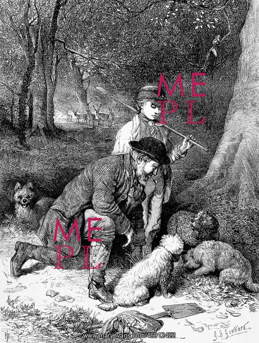 : Truffle hunting : Truffle hunting