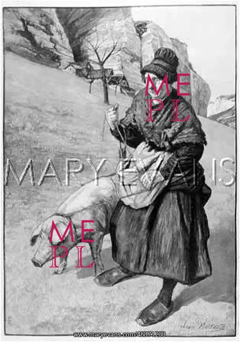 : TRUFFLE WOMAN 1893 : TRUFFLE WOMAN 1893