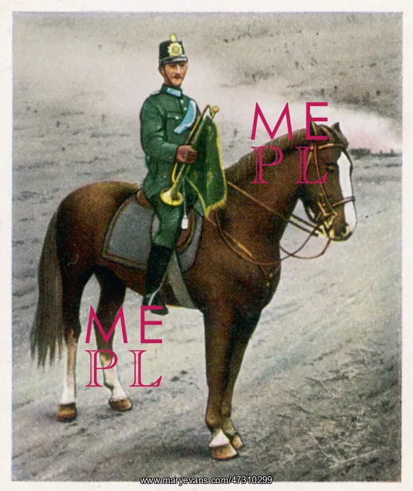 : TRUMPET CALL ENDS WWI : TRUMPET CALL ENDS WWI