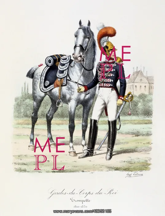 : Trumpeter of the King's Guard, 1820-1830. From : Trumpeter of the King's Guard, 1820-1830. From