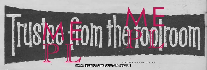 : trustee from the tool room, vintage font, slogan : trustee from the tool room, vintage font, slogan