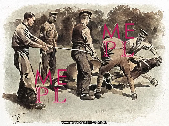 : Trying to shoe a mule, WW1 : Trying to shoe a mule, WW1