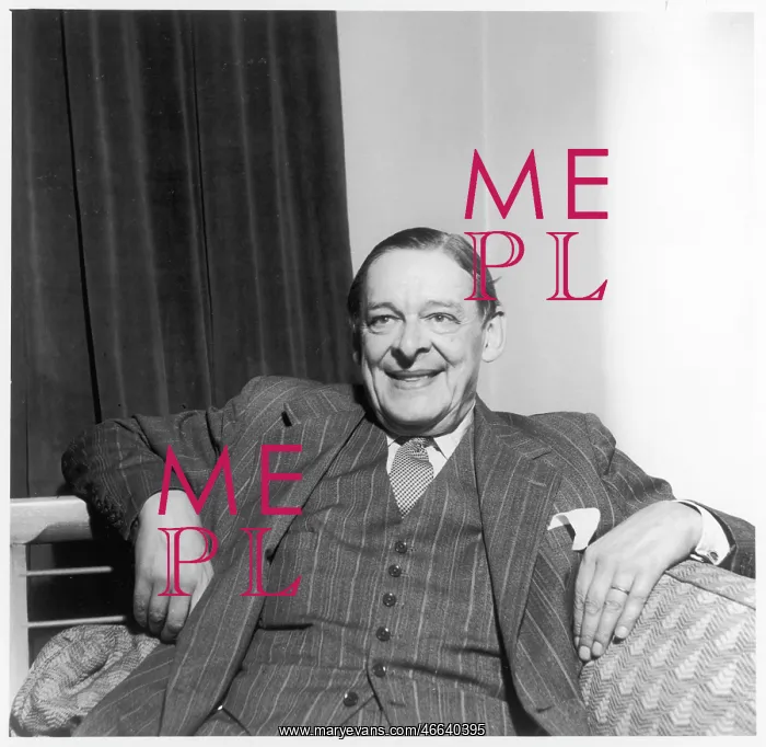 : Ts Eliot - Ida Kar portrait : Ts Eliot - Ida Kar portrait