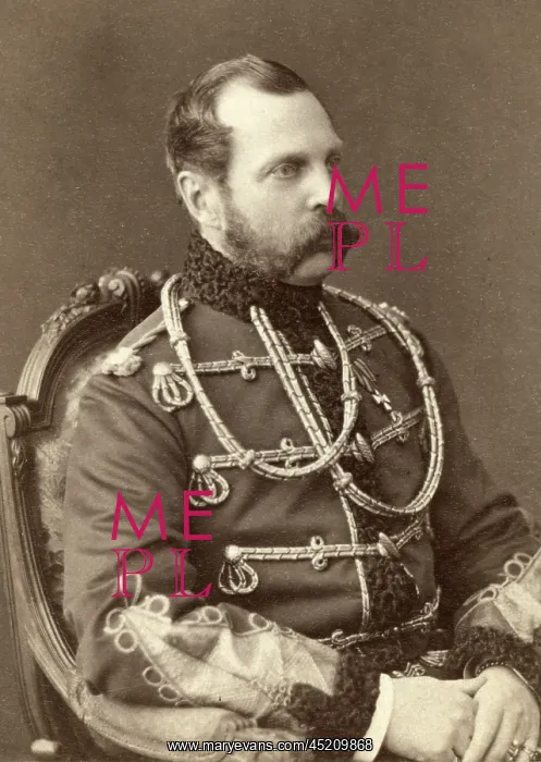 : Tsar Alexander II (1818-1881), Emperor of ? : Tsar Alexander II (1818-1881), Emperor of ?
