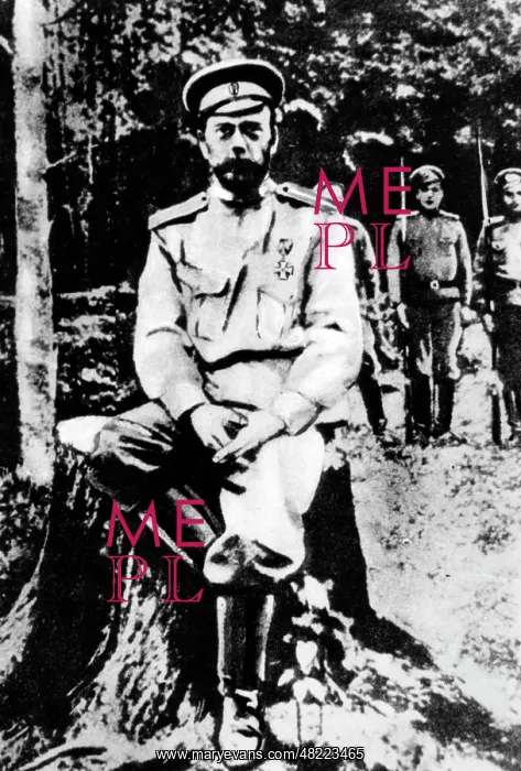 : Tsar Nicholas II : Tsar Nicholas II