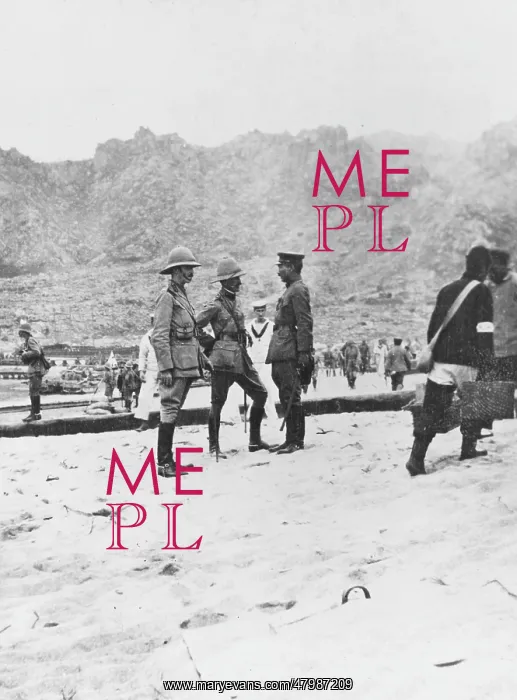 : Tsing-Tao 1914 : Tsing-Tao 1914