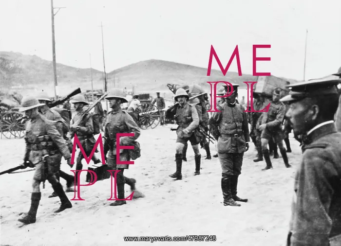 : Tsing-Tao 1914 : Tsing-Tao 1914