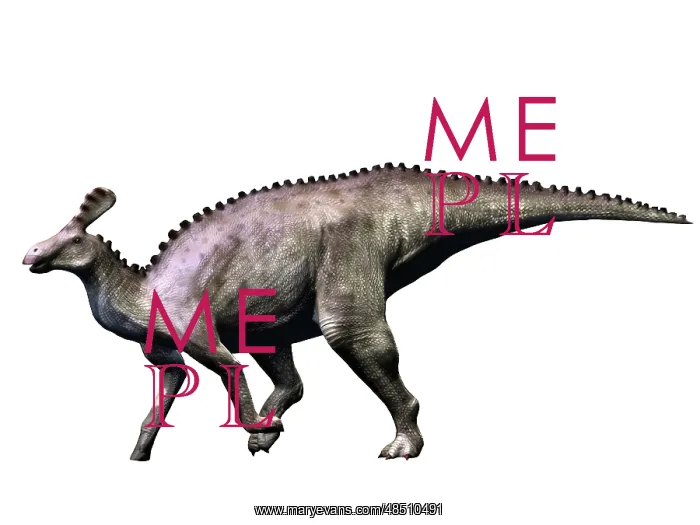 : Tsintaosaurus dinosaur : Tsintaosaurus dinosaur