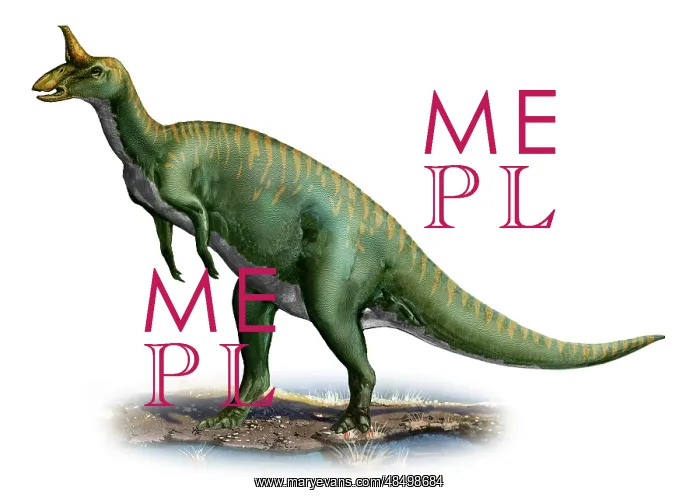 : Tsintaosaurus spinorhinus, a prehistoric era dinosaur : Tsintaosaurus spinorhinus, a prehistoric era dinosaur