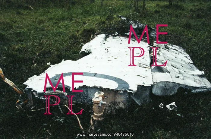 : TU-134 plane crash : TU-134 plane crash