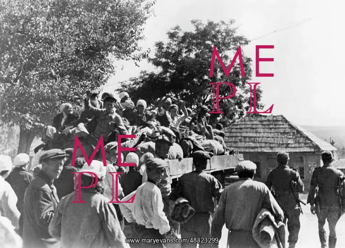 : Tuapse Front, Caucasus, 1942 : Tuapse Front, Caucasus, 1942