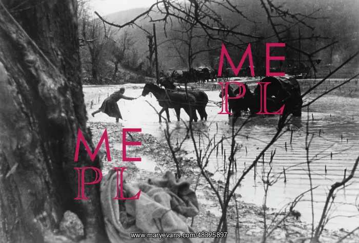 : Tuapse Front, Caucasus, 1942 : Tuapse Front, Caucasus, 1942