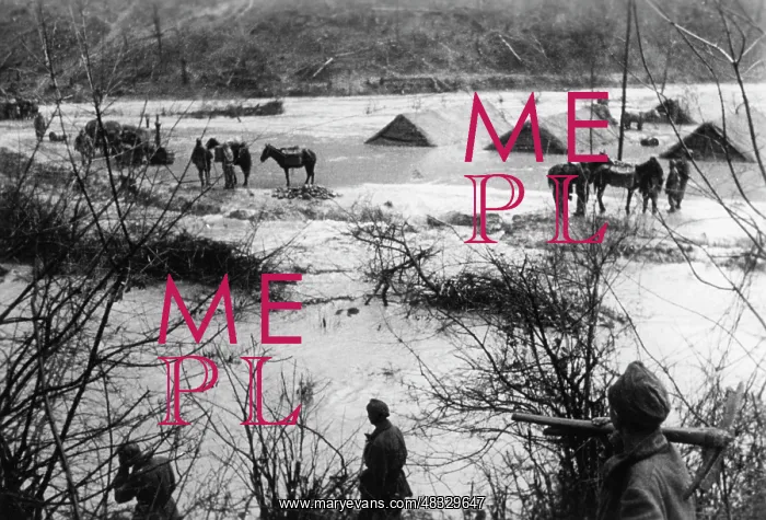 : Tuapse Front, Caucasus, 1942 : Tuapse Front, Caucasus, 1942