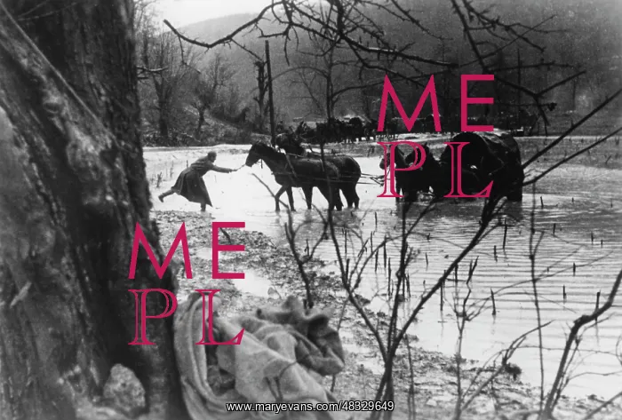 : Tuapse Front, Caucasus, 1942 : Tuapse Front, Caucasus, 1942