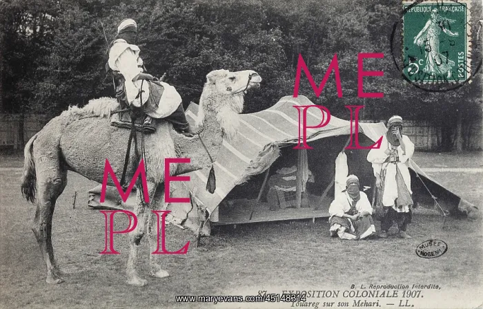 : Tuareg on dromedary, 1907 Colonial Exhibition : Tuareg on dromedary, 1907 Colonial Exhibition