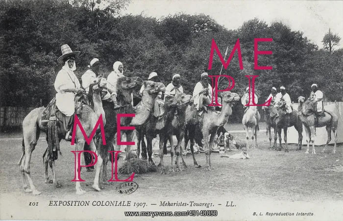 : Tuaregs on dromedaries, 1907 Colonial Exhibition : Tuaregs on dromedaries, 1907 Colonial Exhibition