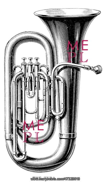 : Tuba on its Own : Tuba on its Own