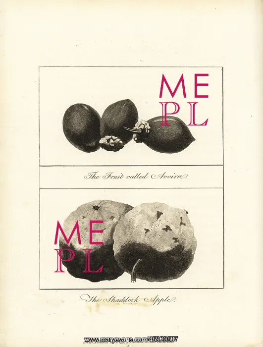 : Tucuma and pomelo fruit : Tucuma and pomelo fruit