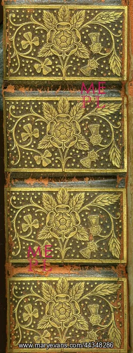  : Tudor Roses - Gold On Leather