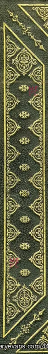  : Tudor Roses - Gold On Leather