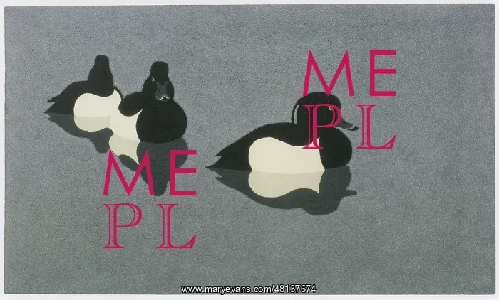 : Tufted Ducks - Linocut print : Tufted Ducks - Linocut print