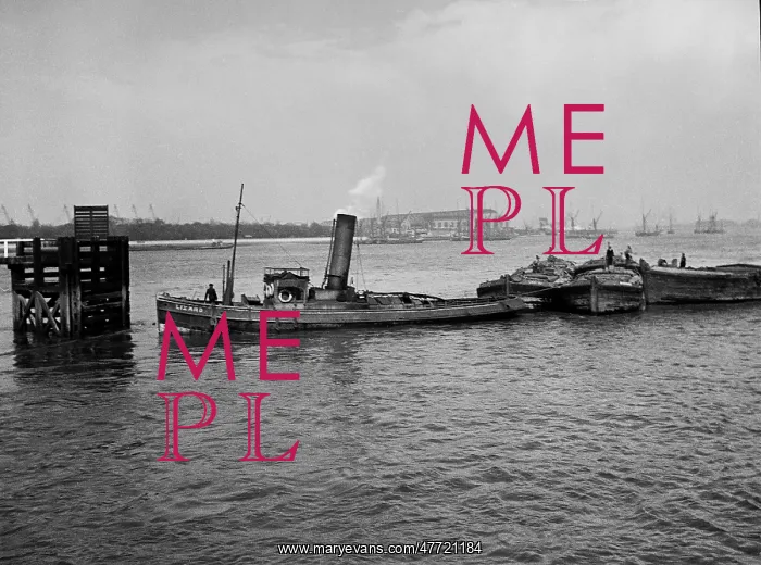 : The tug Lizard on the River Thames, Woolwich, SE London : The tug Lizard on the River Thames, Woolwich, SE London