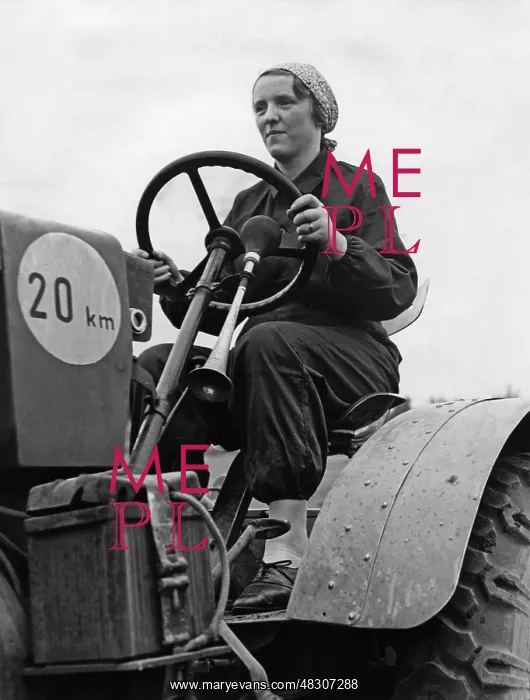 : Tugboat driver in Berlin, 1939 : Tugboat driver in Berlin, 1939