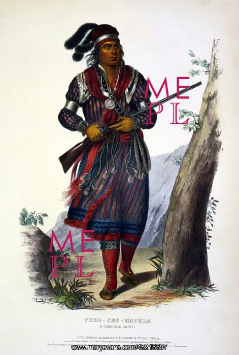 : Tuko-See-Mathla, Seminole Chief of Florida, by George Catlin : Tuko-See-Mathla, Seminole Chief of Florida, by George Catlin